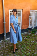 Tolsing Rie Dress / Blue Multi