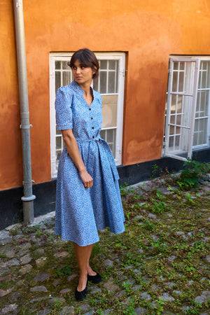 Tolsing Rie Dress / Blue Multi