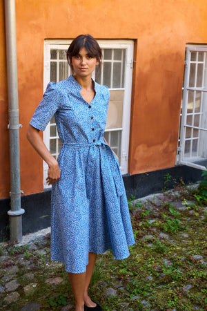Tolsing Rie Dress / Blue Multi