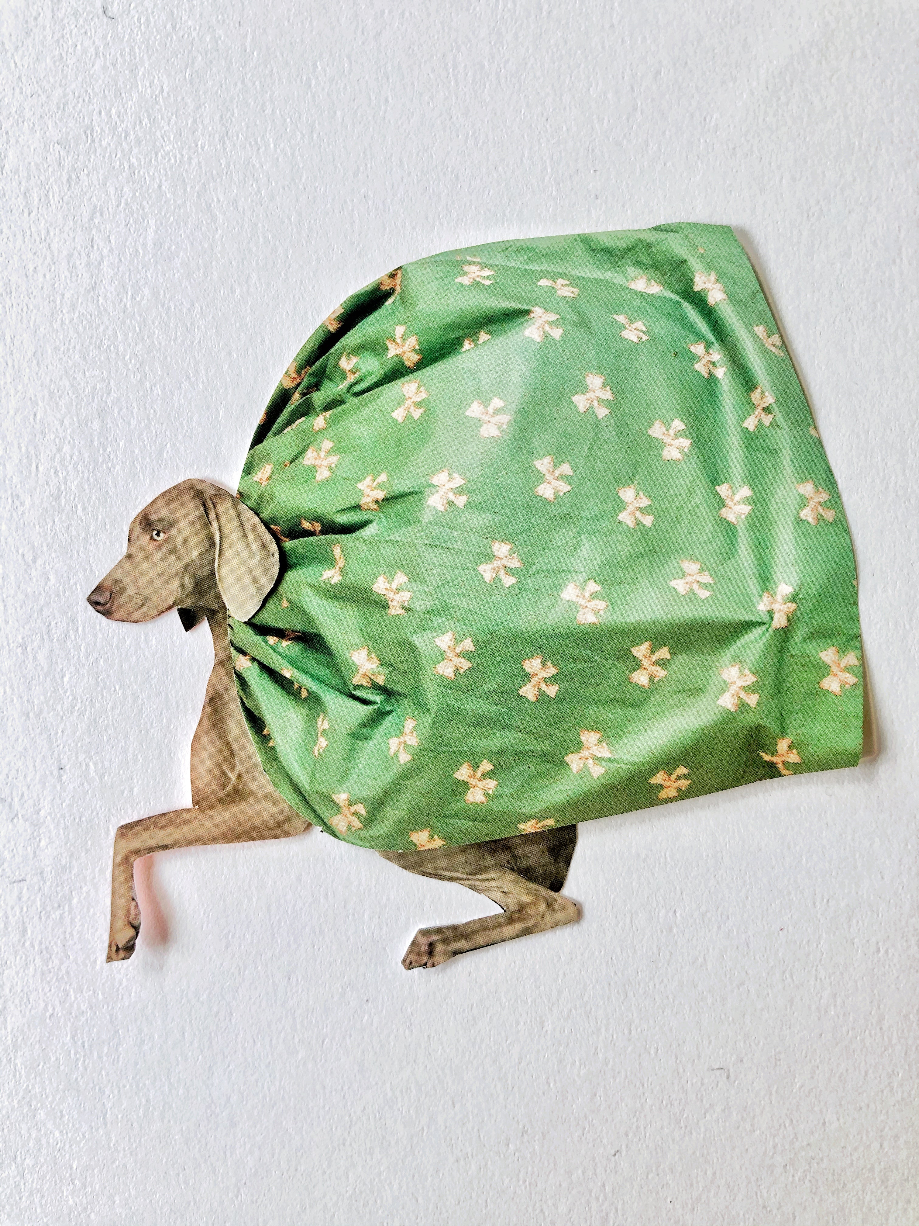 Dog with green cape