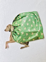 Dog with green cape
